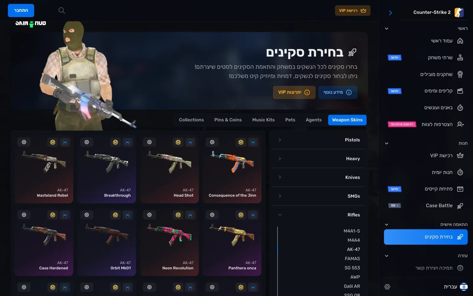 עמוד בחירת סקינים עם לשוניות לנשקים, דמויות, ערכות מוזיקה, פינים וחיות מחמד