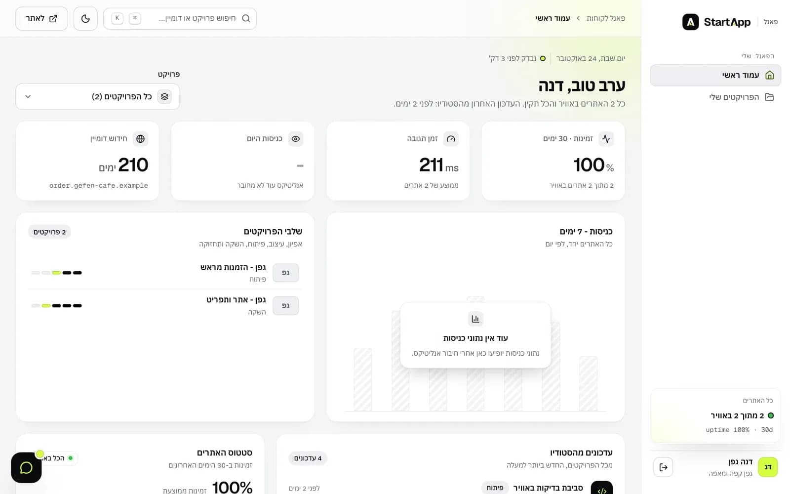 פאנל הלקוחות עם זמינות, זמן תגובה, תוקף דומיין ושלבי הפרויקטים